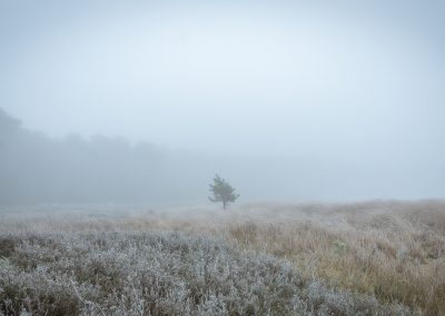 Hatertse Vennen_1
