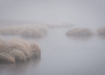 Hatertse Vennen_2