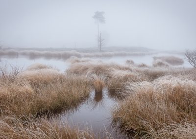 Hatertse Vennen_4
