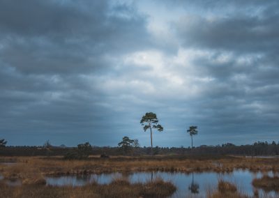 Hatertse Vennen_5