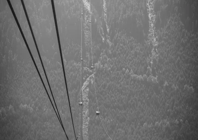 Whistler_3